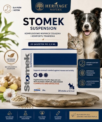 Geulincx Stomek zawiesina 20 saszetek po 2,5ml trawienie refluks nudności