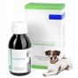 Dermafit Dog Płyn 125 ml Dla Psa Na Problemy Skórne Na Sierść Geulincx