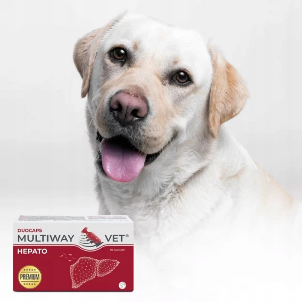 JM SANTE MULTIWAY VET DUOCAPS HEPATO wsparcie wątroby psa i kota 60 kaps
